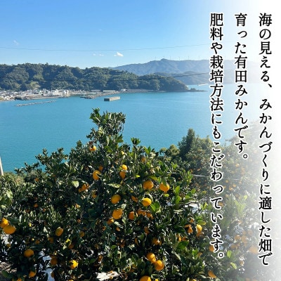 【先行受付】訳あり 家庭用  有田みかん 和歌山  小玉(2S,3Sサイズ混合) 3kg
