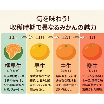 家庭用 有田みかん 和歌山 訳あり 小玉(2S,3Sサイズ混合) 3kg