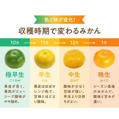 【先行受付】訳あり 家庭用  有田みかん 和歌山  小玉(2S,3Sサイズ混合) 3kg