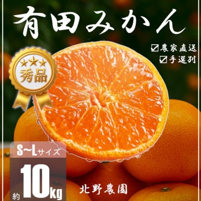 秀品 有田みかん 和歌山県産　S～Lサイズ 大きさお任せ 10kg
