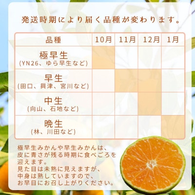 【先行受付】秀品 有田みかん 和歌山県産　S～Lサイズ 大きさお任せ 10kg