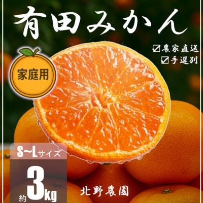 家庭用 有田みかん 和歌山 訳あり S～Lサイズ 大きさお任せ 3kg