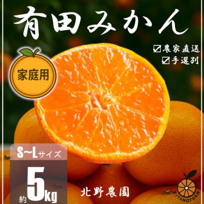 訳あり 家庭用 有田みかん 和歌山県産  S～Lサイズ 大きさお任せ 5kg