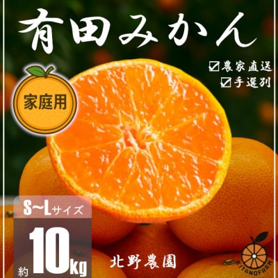 訳あり 家庭用  有田みかん 和歌山 S～Lサイズ 大きさお任せ 10kg