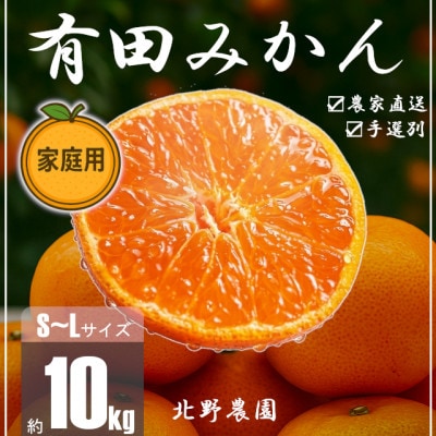 家庭用 有田みかん 和歌山 訳あり S～Lサイズ 大きさお任せ 10kg