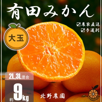 訳あり 家庭用 有田みかん 和歌山 大玉(2L,3Lサイズ混合) 9kg