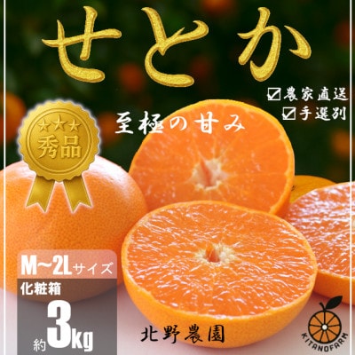 【先行受付】秀品 せとか 和歌山 有田 化粧箱 M～2Lサイズ 大きさお任せ