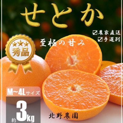【先行受付】秀品 せとか 和歌山 有田 化粧箱 M～4Lサイズ 大きさお任せ