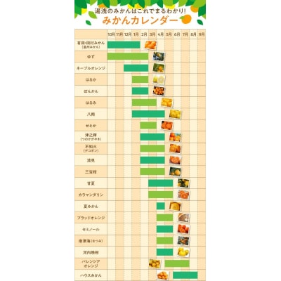 【先行受付】ご家庭用 せとか 和歌山 有田 S～3Lサイズ 大きさお任せ 3kg