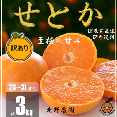 【先行受付】訳あり せとか 和歌山 有田 2S～3Lサイズ混合 3kg