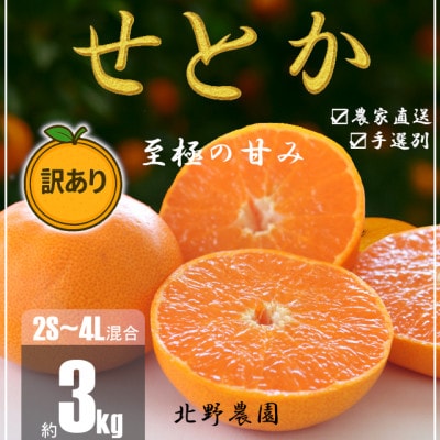 【先行受付】訳あり せとか 和歌山 有田 2S～4Lサイズ混合 3kg