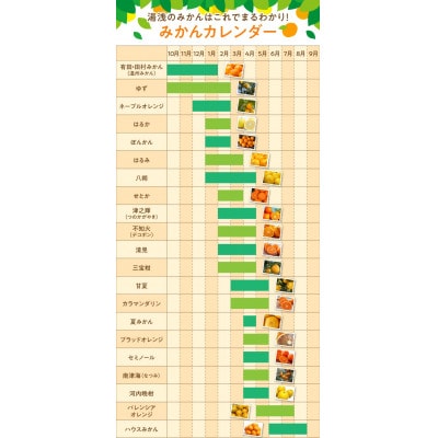 【先行受付】訳あり せとか 和歌山 有田 2S～3Lサイズ混合 3kg