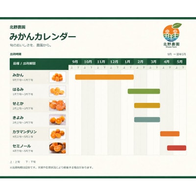【先行受付】訳あり せとか 和歌山 有田 2S～4Lサイズ混合 3kg