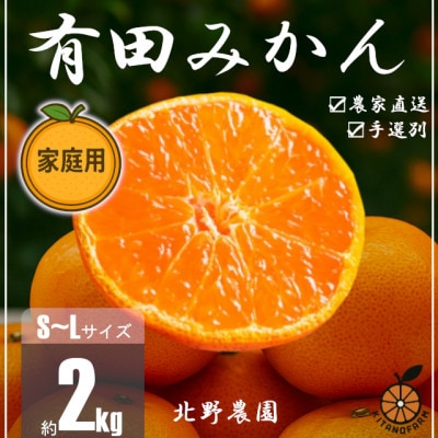 訳あり 家庭用 有田みかん 和歌山  S～L サイズお任せ 2kg