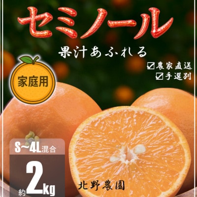 【先行受付】家庭用 訳あり セミノール  和歌山 有田  S～4Lサイズ混合 2kg