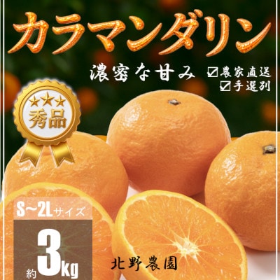 【先行受付】秀品 カラマンダリン なつみ 和歌山 有田 S～2Lサイズ 大きさお任せ 3kg