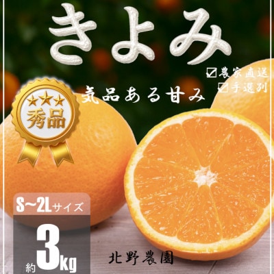 【先行受付】秀品 きよみ 清見オレンジ 和歌山 有田 S～2Lサイズ 大きさお任せ 3kg