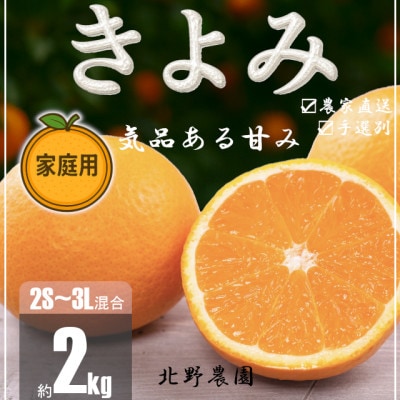 【先行受付】家庭用 訳あり きよみ 清見オレンジ 和歌山 有田 2S～3Lサイズ混合 2kg