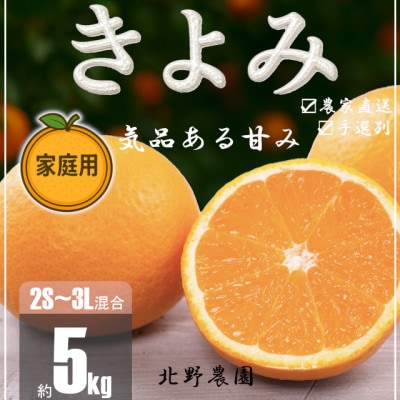 【先行受付】家庭用 訳あり きよみ 清見オレンジ 和歌山 有田 2S～3Lサイズ混合 5kg