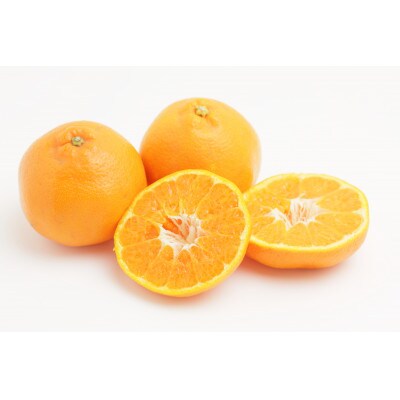 秀品 はるみ 和歌山 有田 S～2Lサイズ 大きさお任せ 3kg