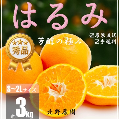 【先行受付】秀品 はるみ 和歌山 有田 S～2Lサイズ 大きさお任せ 3kg