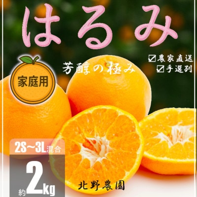 【先行受付】家庭用 訳あり はるみ 和歌山 有田 2S～3Lサイズ混合 2kg
