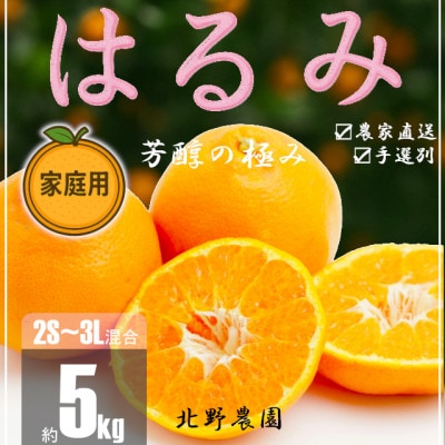 【先行受付】家庭用 訳あり はるみ 和歌山 有田 2S～3Lサイズ混合 5kg