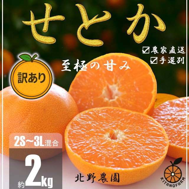 【先行受付】訳あり せとか 和歌山 有田 2S～3Lサイズ混合 2kg
