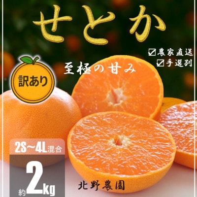 【先行受付】訳あり せとか 和歌山 有田 2S～4Lサイズ混合 2kg
