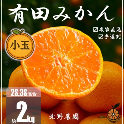 訳あり 家庭用 有田みかん 和歌山 小玉(2S,3Sサイズ混合) 2kg