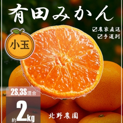 家庭用 有田みかん 和歌山 訳あり 小玉(2S,3Sサイズ混合) 2kg