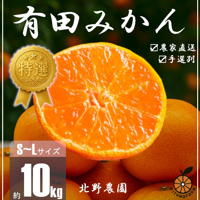 特選 有田みかん 和歌山 S～Lサイズ 大きさお任せ 10kg
