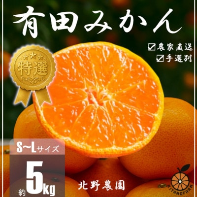 特選 有田みかん 和歌山 S～Lサイズ 大きさお任せ 5kg