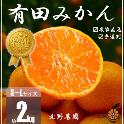 特選 有田みかん 和歌山 S～Lサイズ 大きさお任せ 2kg