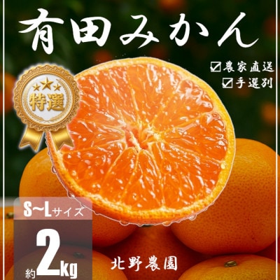特選 有田みかん 和歌山 贈答用 S～Lサイズ 大きさお任せ 2kg