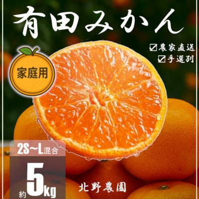 家庭用 有田みかん 和歌山 訳あり 2S～Lサイズ混合 5kg