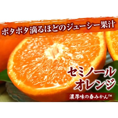 【訳あり】セミノールオレンジ [約10kg]和歌山県有田産 春みかん(サイズ混合・ご家庭用)