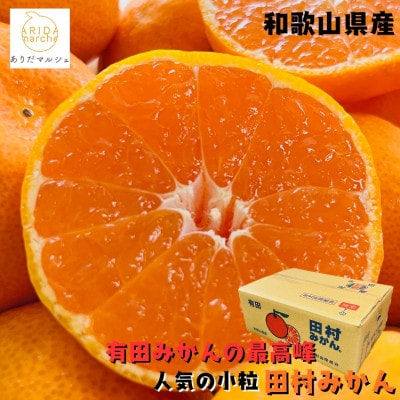 有田みかんの最高峰 小粒田村みかん 2S・3Sサイズ 秀品 約5kg