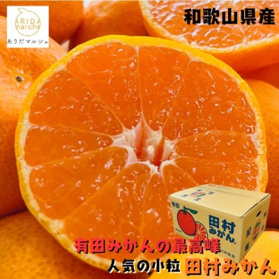 有田みかんの最高峰 小粒田村みかん 2S・3Sサイズ 秀品 約10kg