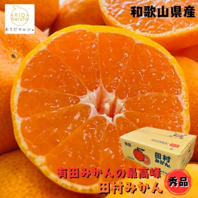 有田みかんの最高峰 プレミアムブランド  田村みかん Sサイズ 秀品 約5kg