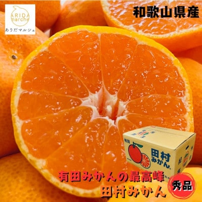 有田みかんの最高峰 プレミアムブランド 田村みかん Sサイズ 秀品 約10kg