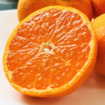 有田みかんの最高峰 プレミアムブランド 田村みかん 秀品 Mサイズ 約5kg