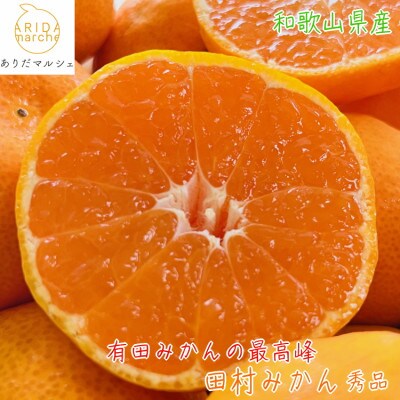 有田みかんの最高峰 プレミアムブランド 田村みかん 秀品 Lサイズ 約10kg