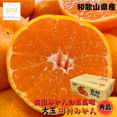 有田みかんの最高峰 太玉田村みかん 2L・3Lサイズ 秀品 約5kg