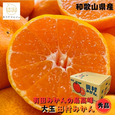 有田みかんの最高峰 太玉田村みかん 2L・3Lサイズ 秀品 約10kg