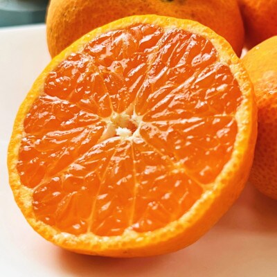 有田みかんの最高峰 太玉田村みかん 2L・3Lサイズ 秀品 約10kg