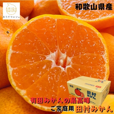 有田みかんの最高峰 ご家庭用 田村みかん サイズ混合 約5kg