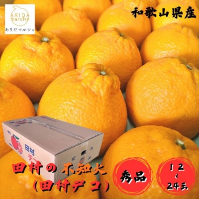 ≪先行受付 2027年 2月下旬～順次発送≫和歌山有田 田村の不知火(田村デコ) 秀品 12～24玉