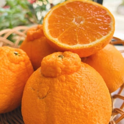 ≪先行受付 2027年 2月下旬～順次発送≫和歌山有田 田村の不知火(田村デコ) 秀品 12～24玉