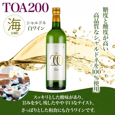 白ワイン TOA200海 シャルドネ 辛口 12度 720ml 果実酒 フルーティ 湯浅ワイナリー